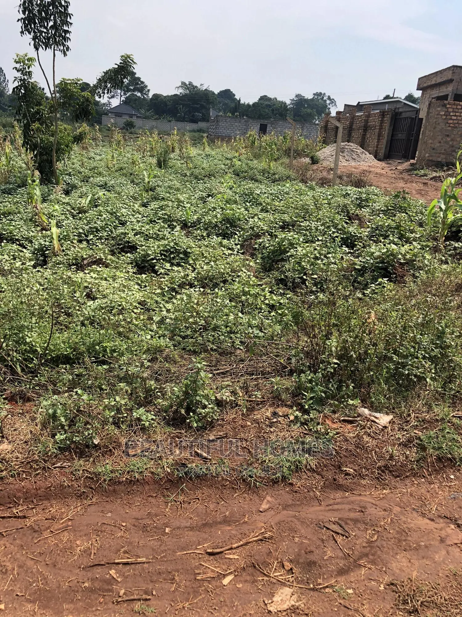 Nakwero Hot Plot Near the Tarmack on Sell in Kampala