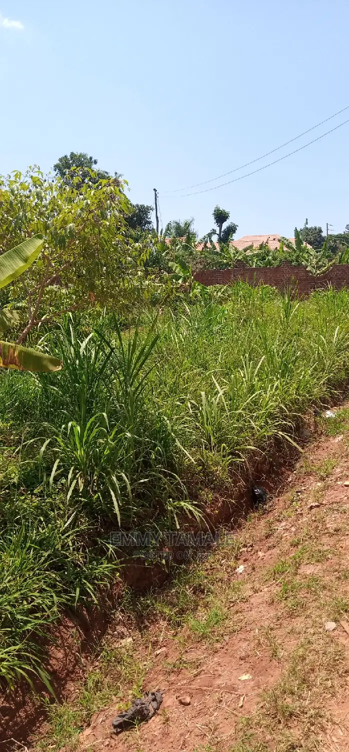 Land and Plots for Sale in Rubaga