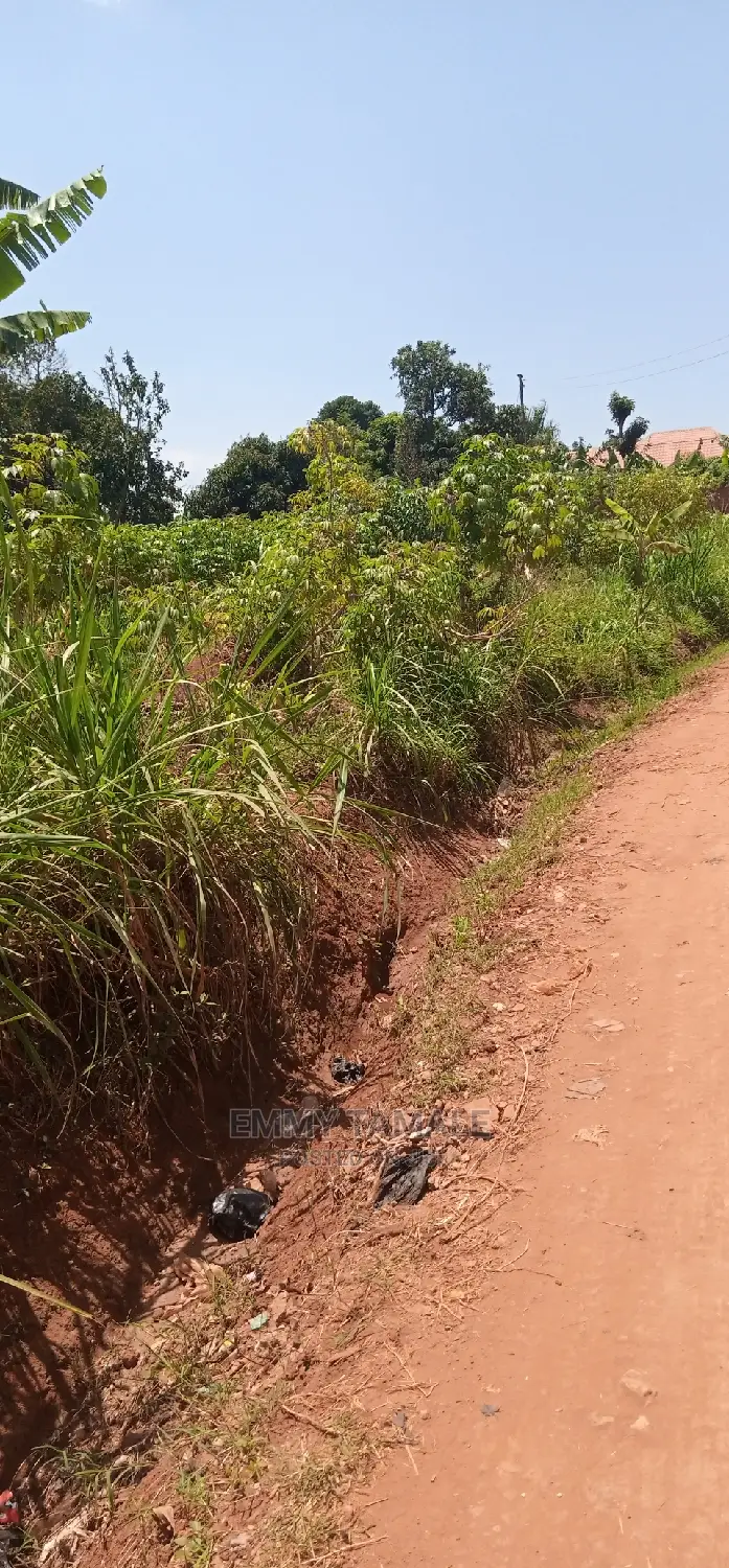 Land and Plots for Sale in Rubaga