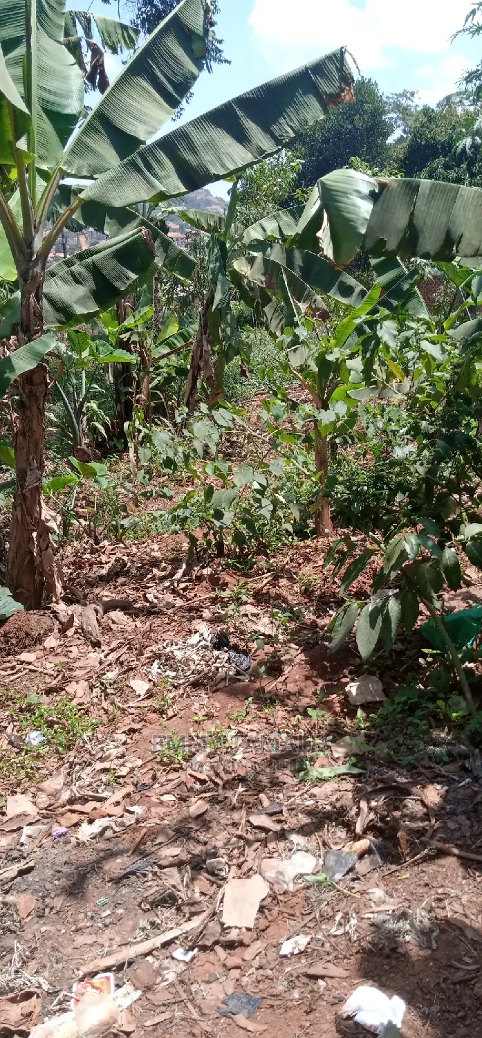 Land and Plots for Sale in Rubaga