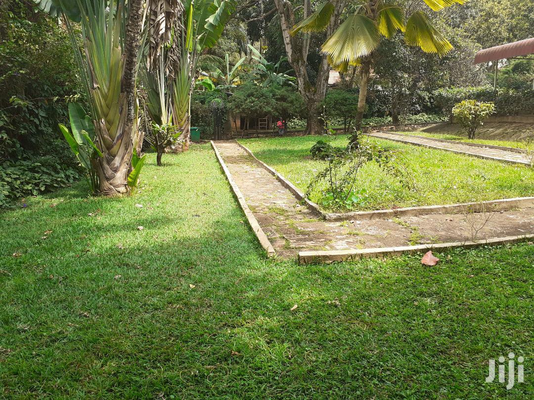 Three Bedroom House For Rent in Kampala