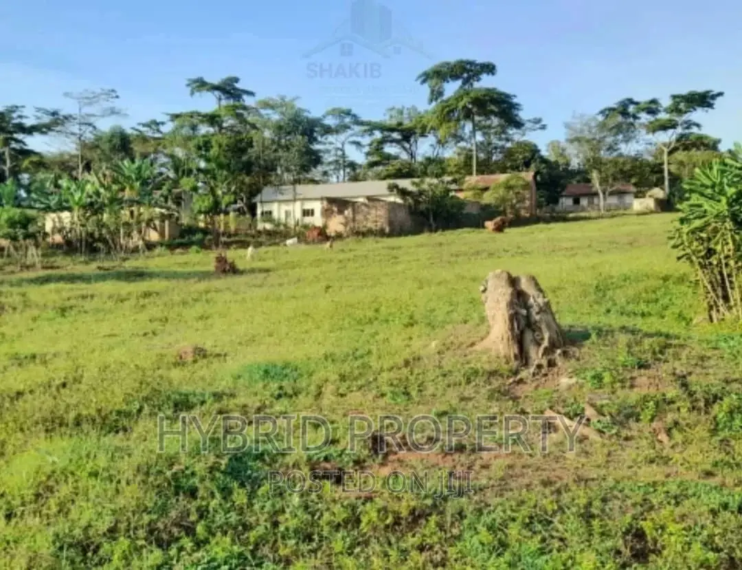 Prime Plots at Sala~Wakiso Land Estate~Hoima Road. For Sale in Wakiso / Wakiso
