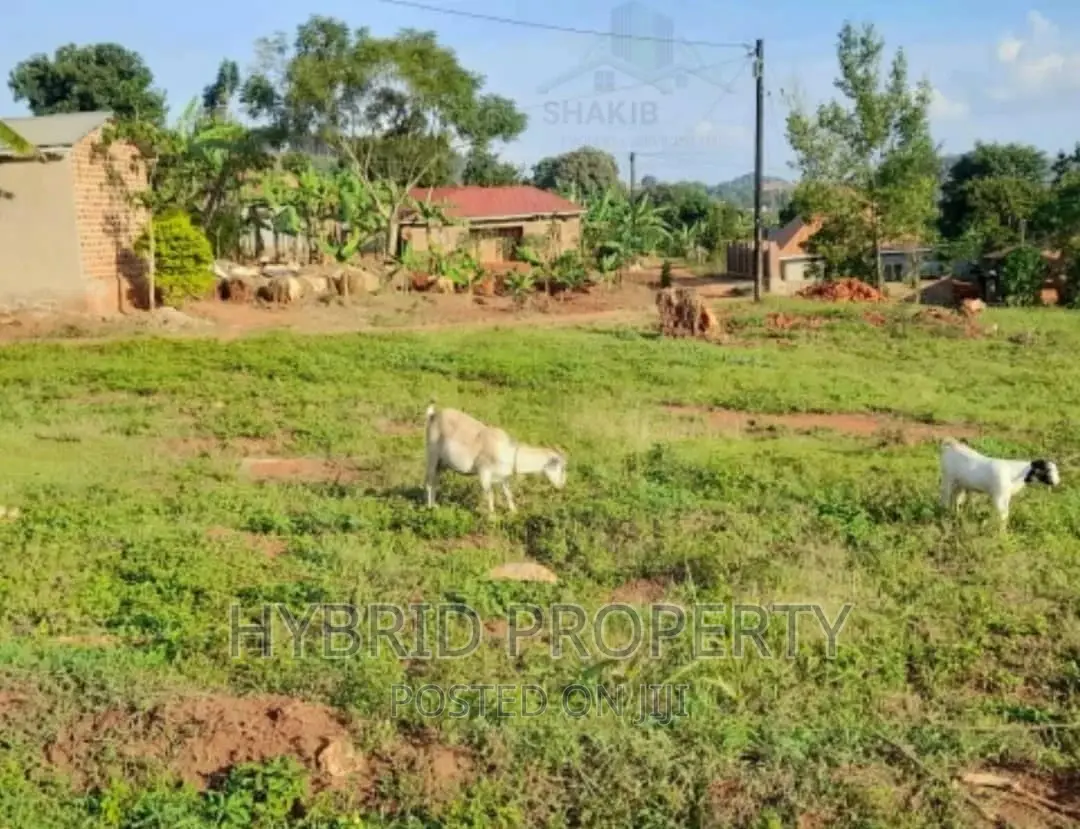 Prime Plots at Sala~Wakiso Land Estate~Hoima Road. For Sale in Wakiso / Wakiso