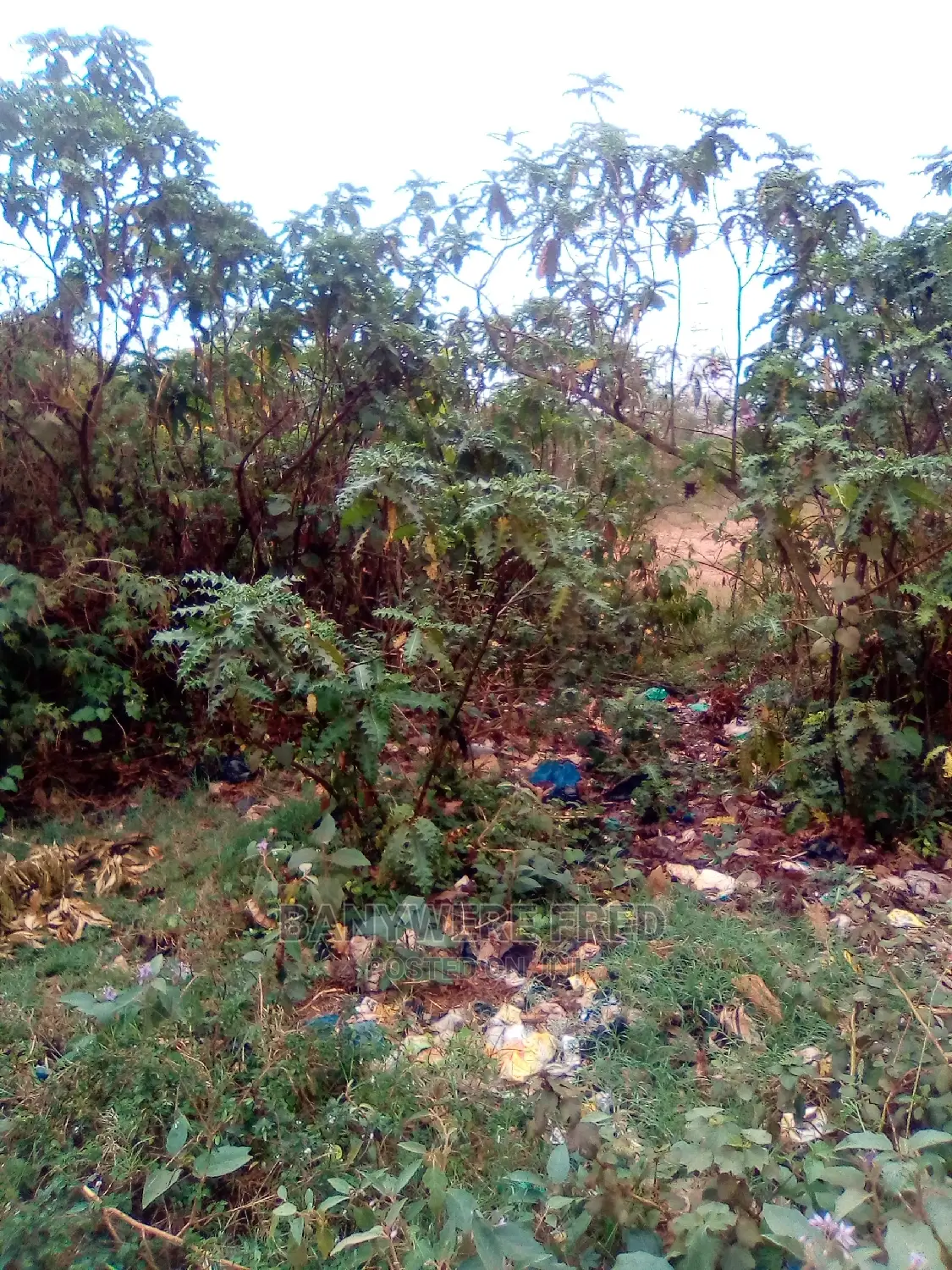 7acres In Luuka District For Sale in Iganga