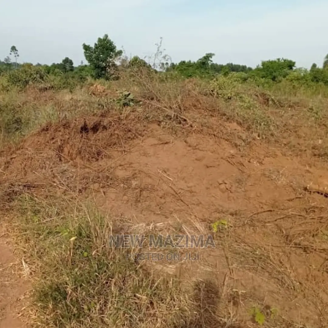 Kamengo Big Plot on Quicksale at Give Away Prices in Division A
