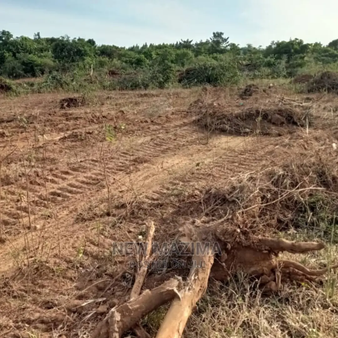 Kamengo Big Plot on Quicksale at Give Away Prices in Division A