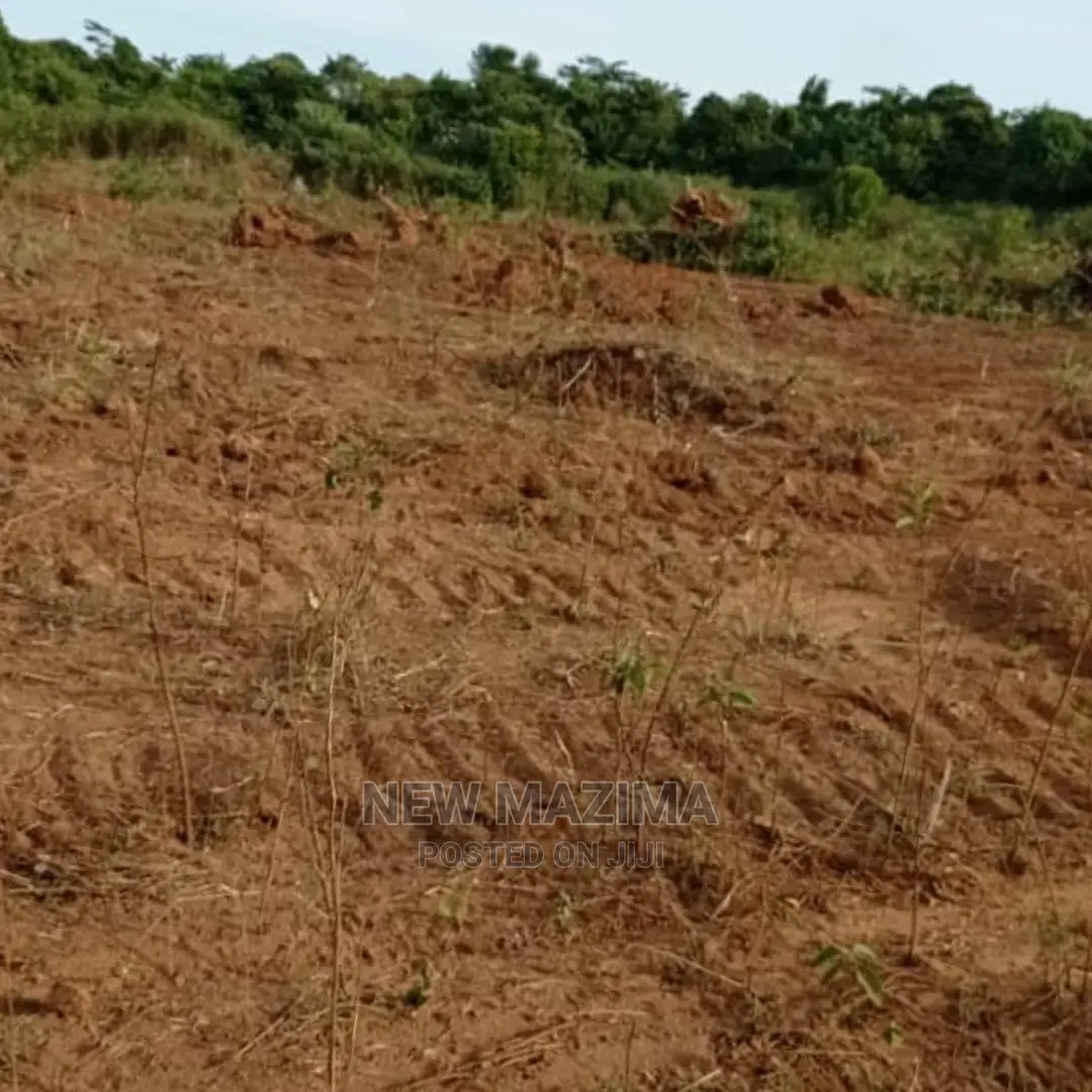 Kamengo Big Plot on Quicksale at Give Away Prices in Division A