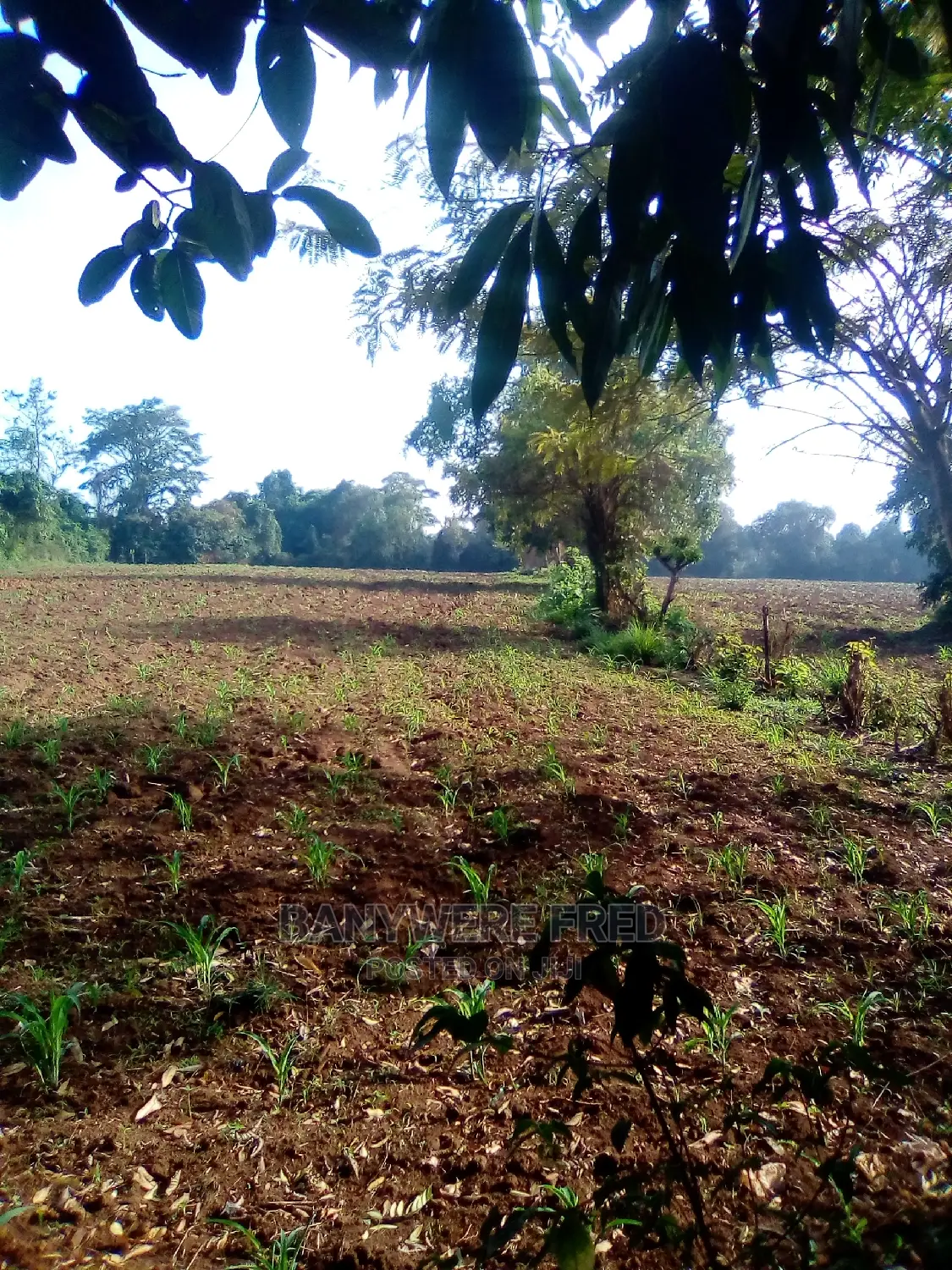 50/100 Plot For Sale In Nama in Nama