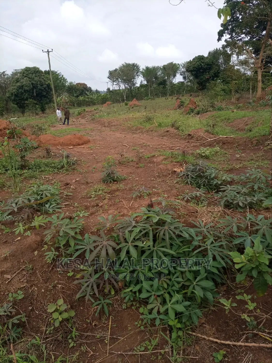 Titled Plots for Sell at Gombe T/N at 9M Am the Owner in Mpigi / Mpigi