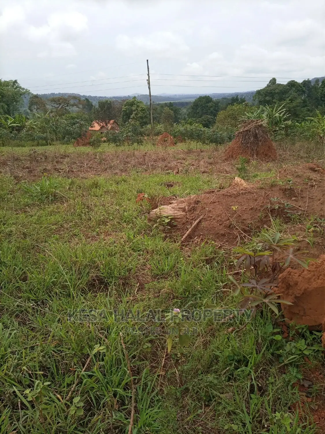 Titled Plots for Sell at Gombe T/N at 9M Am the Owner in Mpigi / Mpigi