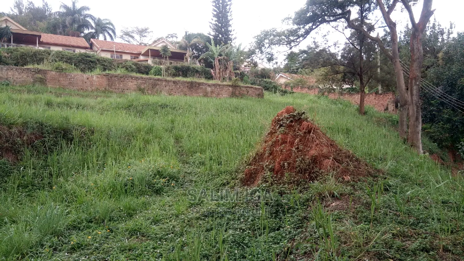 Geniune Plot in Central Division