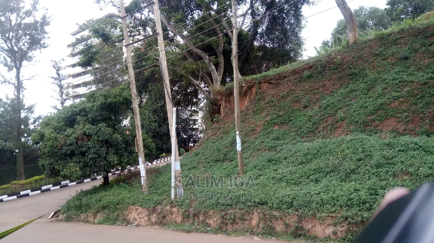 Geniune Plot in Central Division