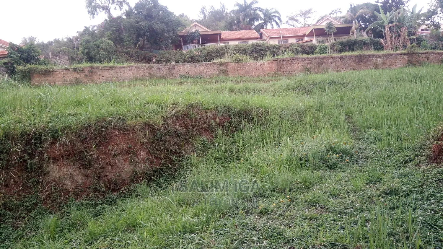 Geniune Plot in Central Division