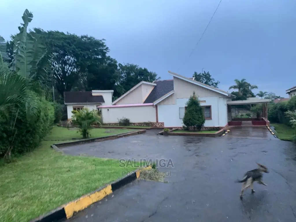 4bdrm Bungalow in Kololo Property, Central Division for Rent in Central Division