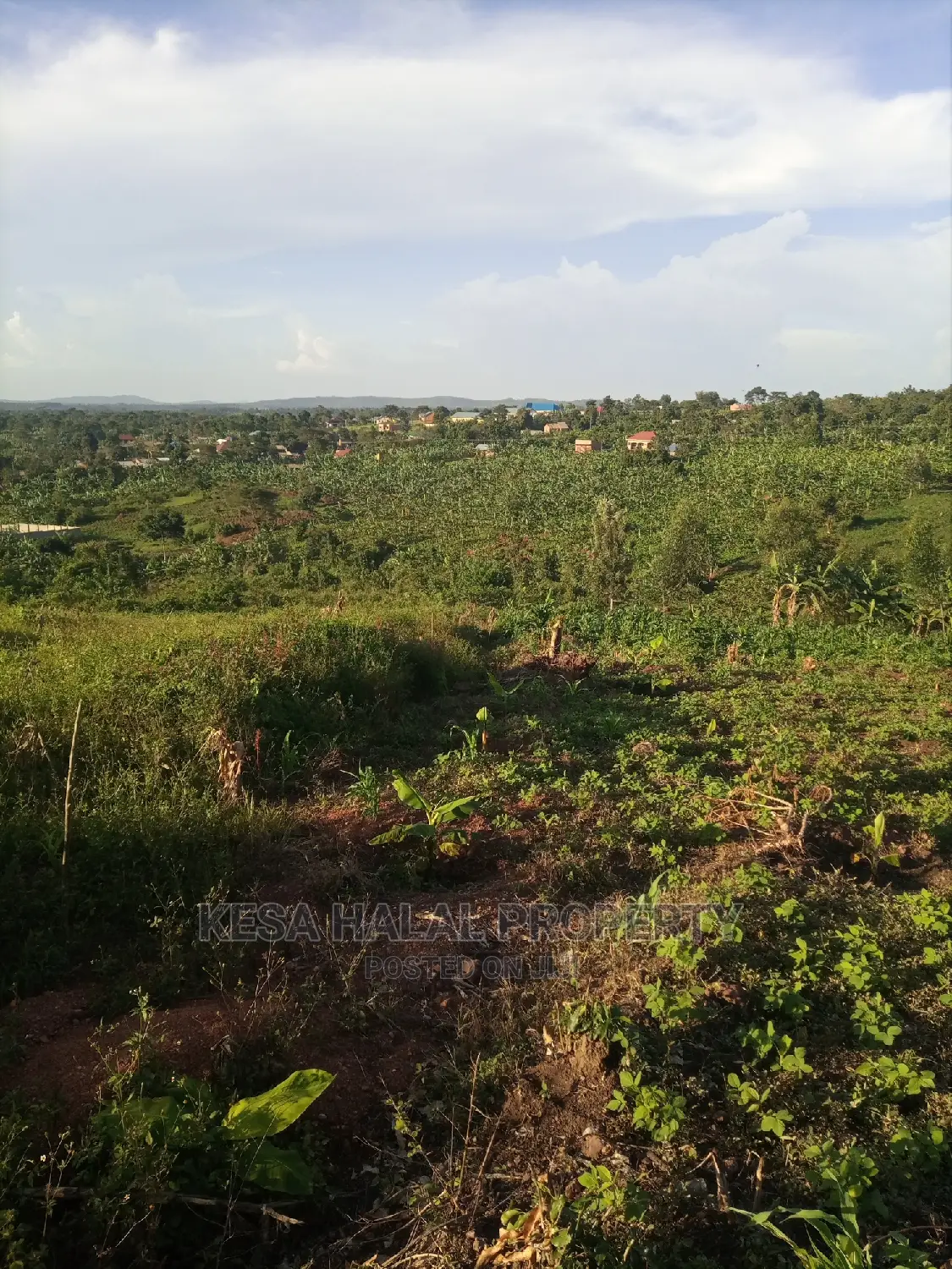 Good View Plots on Bombo Rd U Branch at Janan Sch. in Bombo TC