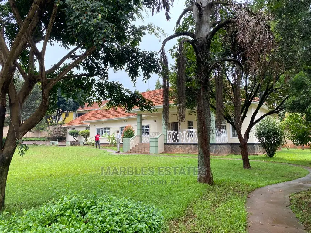 4bdrm Bungalow in Muyenga, Central Division for Rent in Central Division
