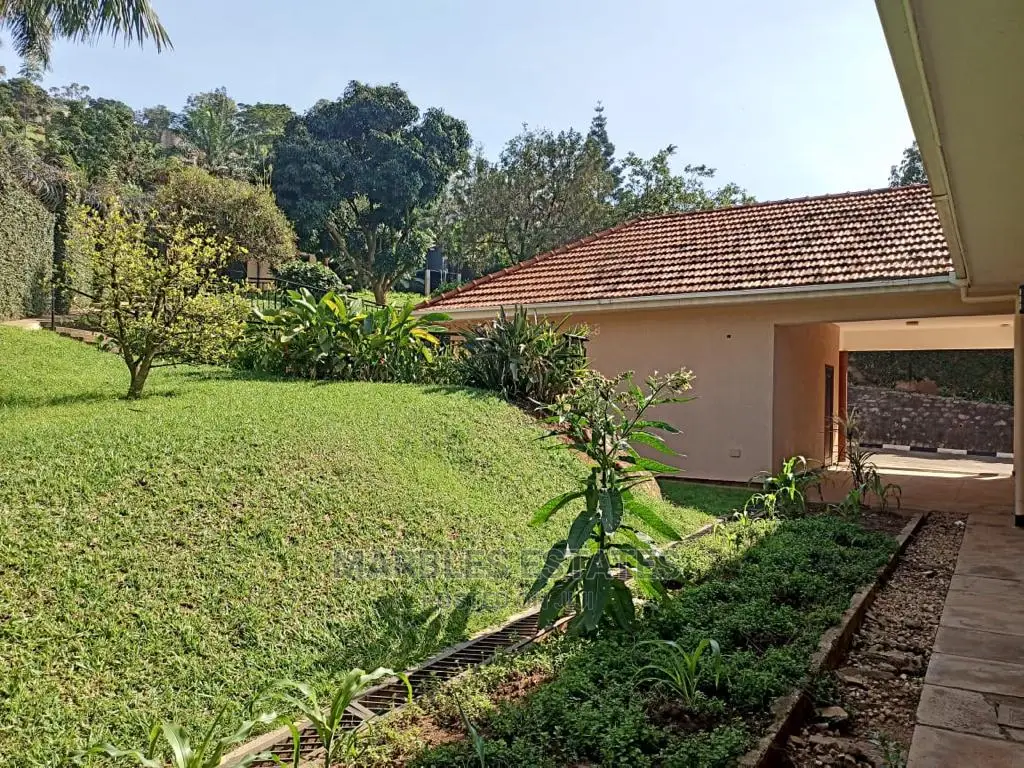 4bdrm House in Muyenga, Central Division for Rent in Central Division