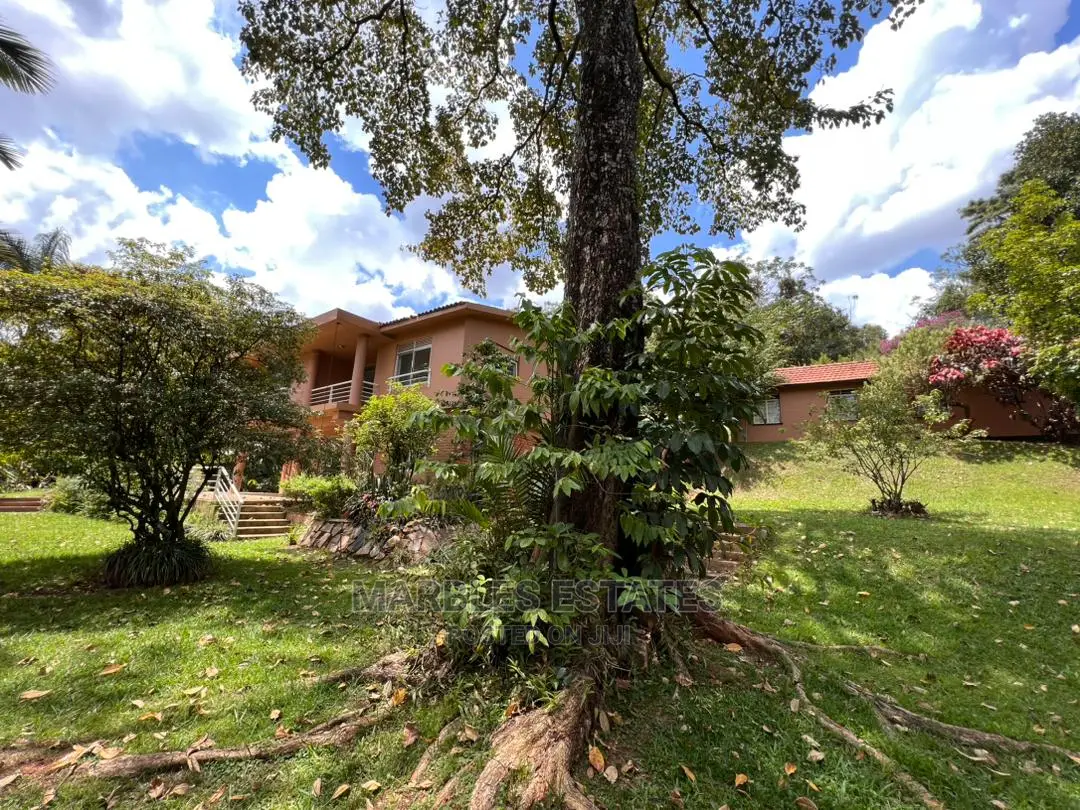 3bdrm House in Mbuya, Central Division for Rent in Central Division