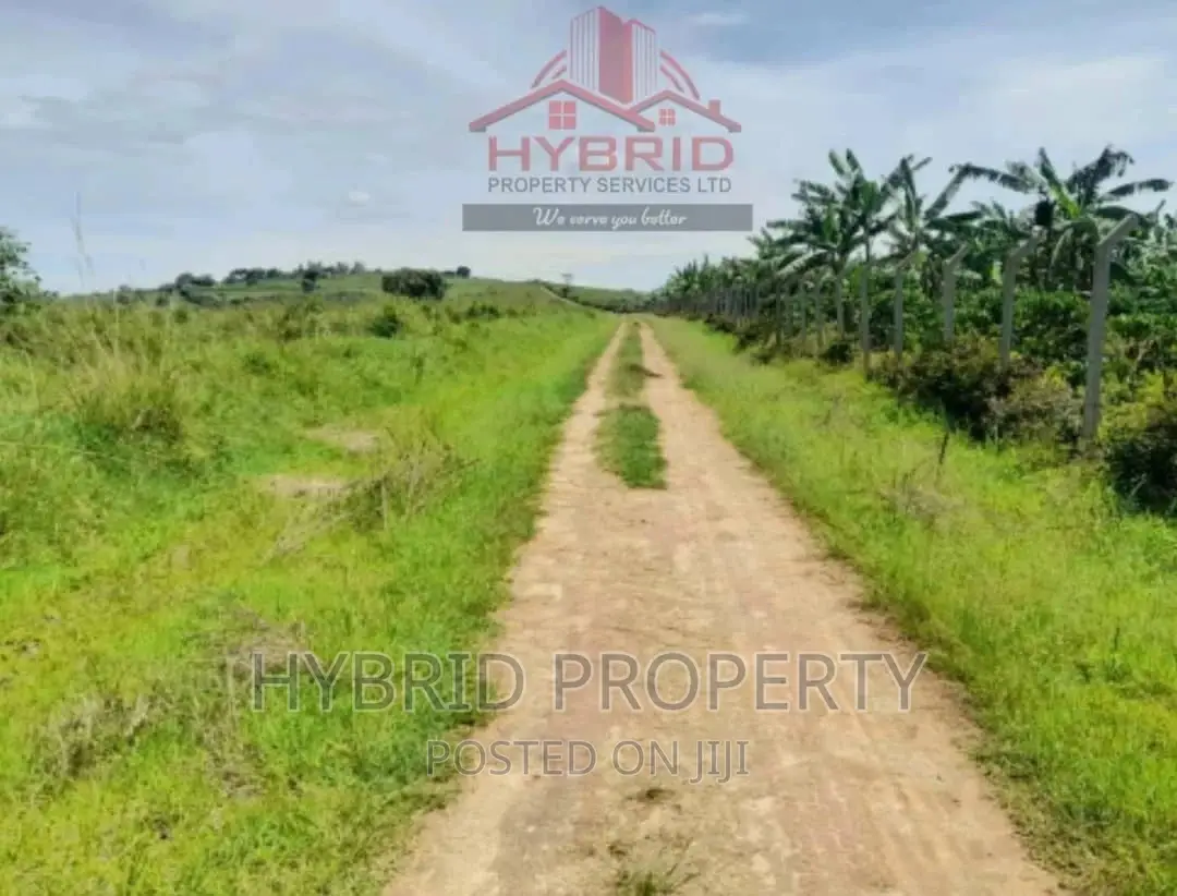 Plots for Sale at Bujjuko 250 Mega Land Estate~Mityana Road. in Mpigi / Mpigi