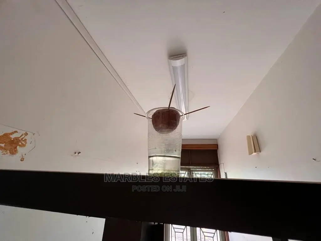 Office Space for Rent in Naguru at in Central Division