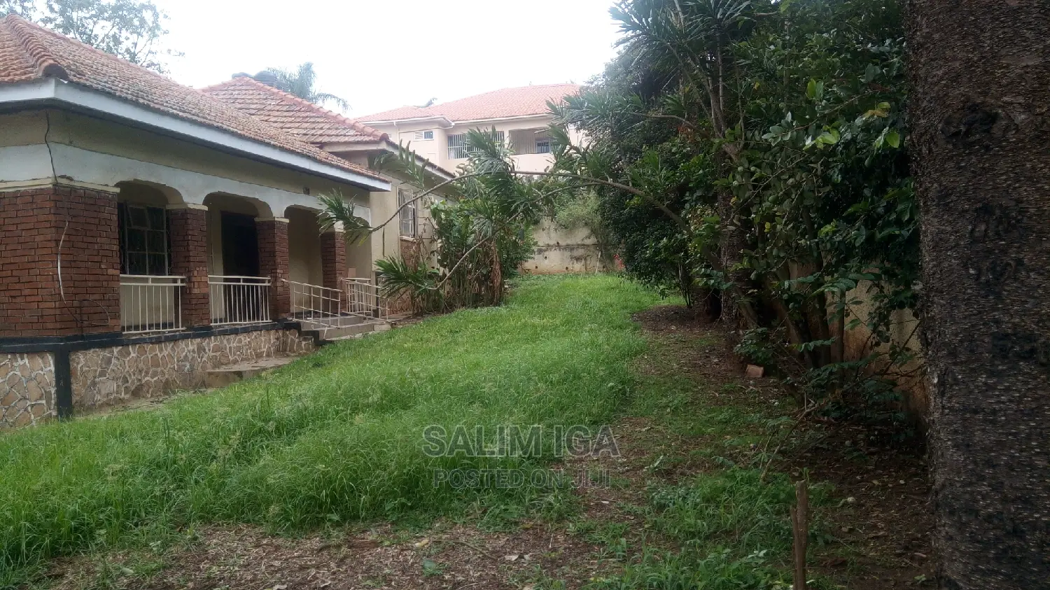 4bdrm Bungalow in Kololo Property, Central Division for Rent in Central Division