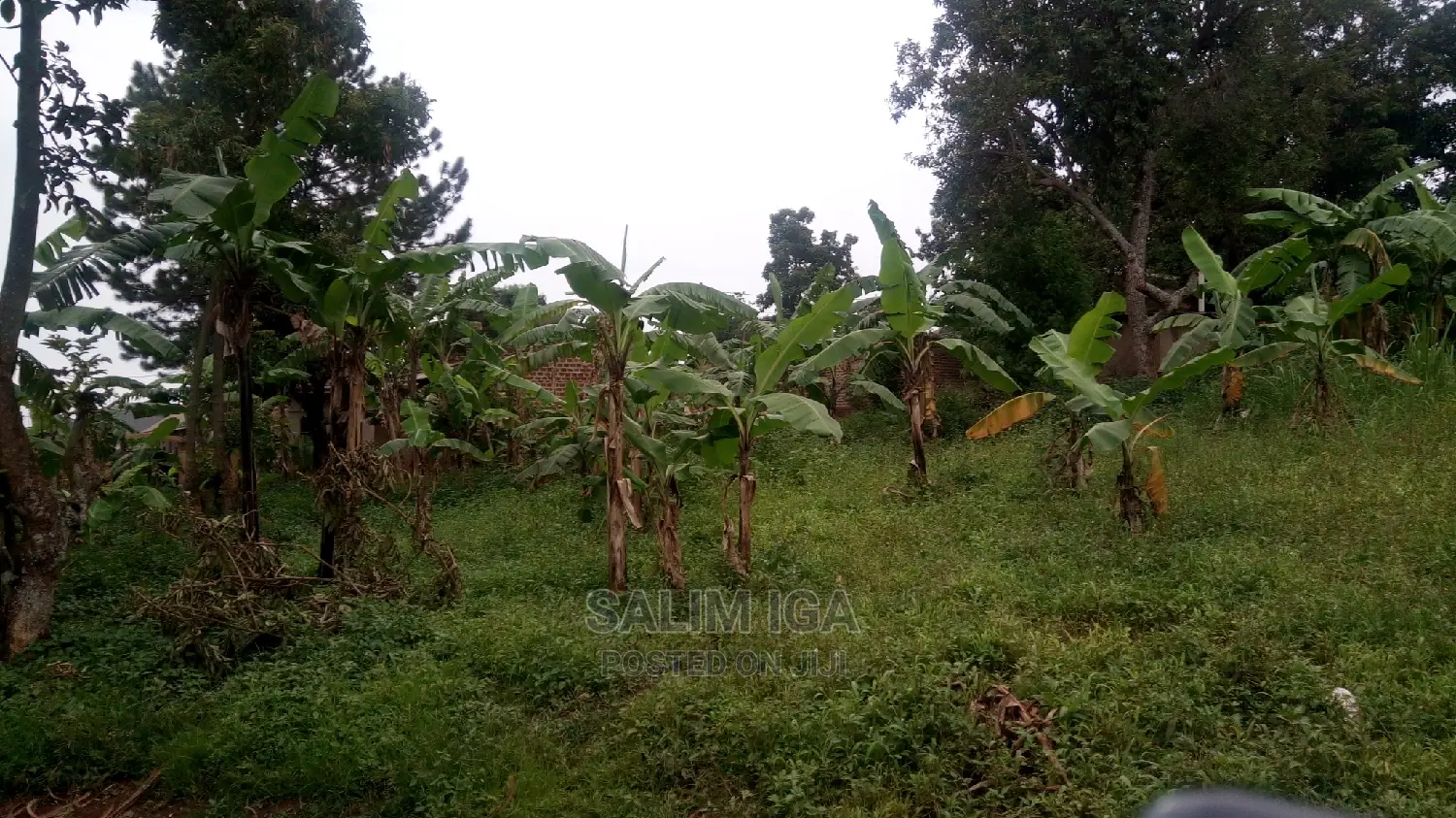 Residential Land in Central Division