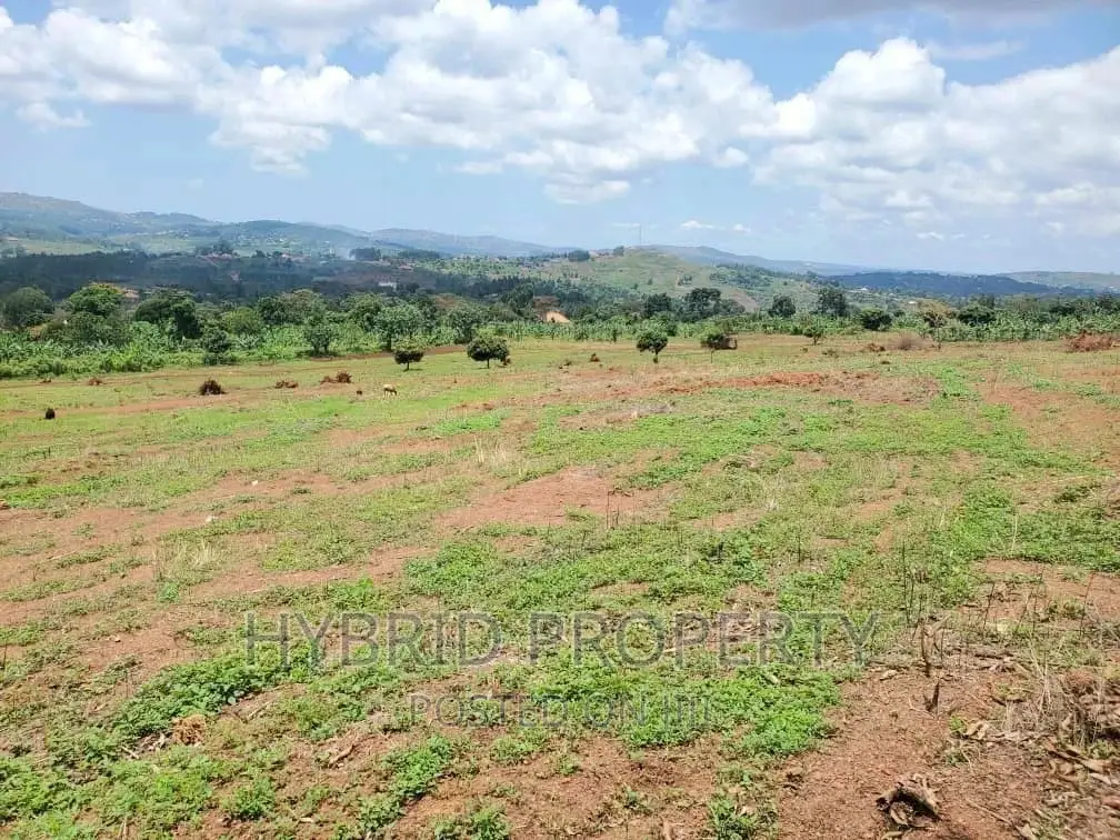 Prime Plots for Sale at Nakawuka~Katalemwa Estate~Entebbe Rd in Ssisa