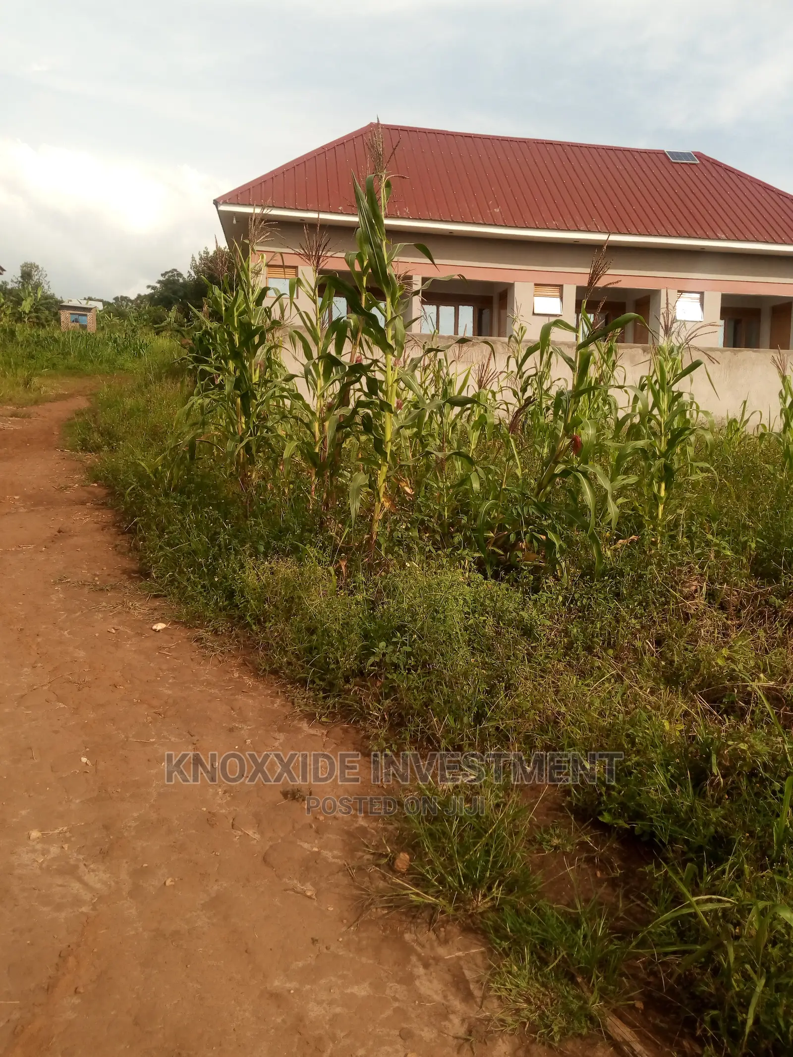 Plot for Sale 50x50ft at 12m Ugx Sentema Town in Central Division