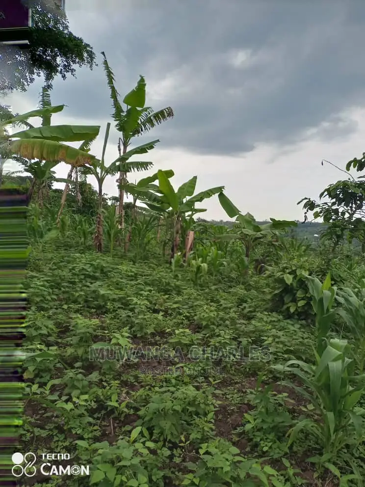 3acres of Land for Sale at Zirobwe Tongo in Central Division