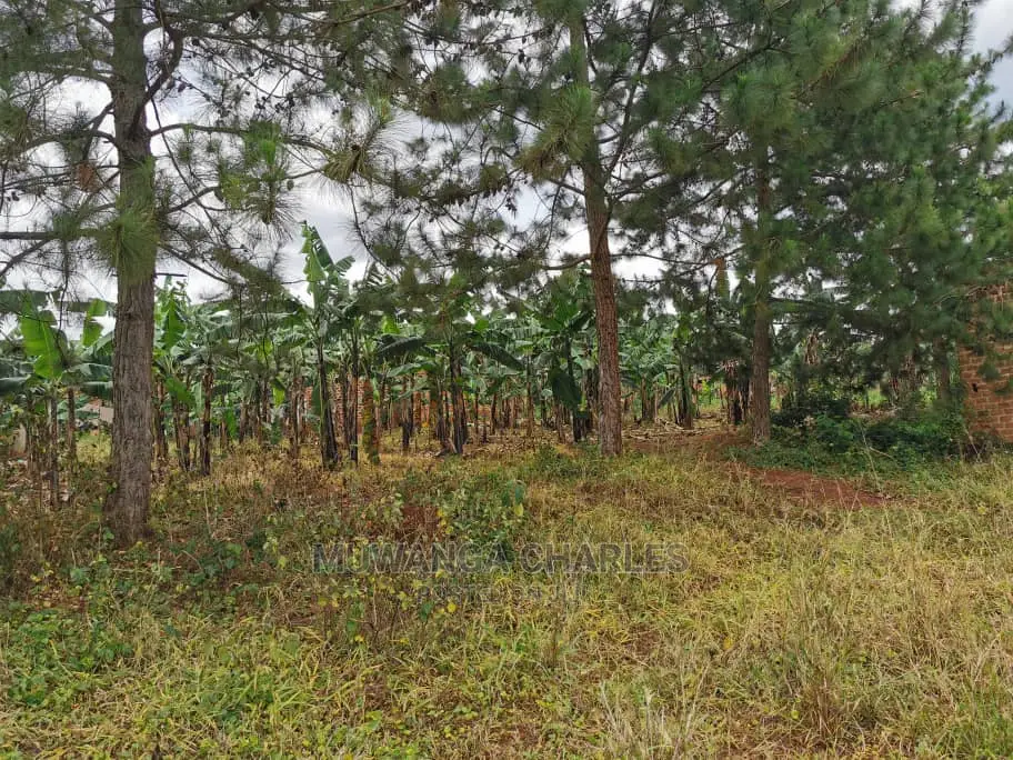 2acres of Land for Sale at Zirobwe in Central Division