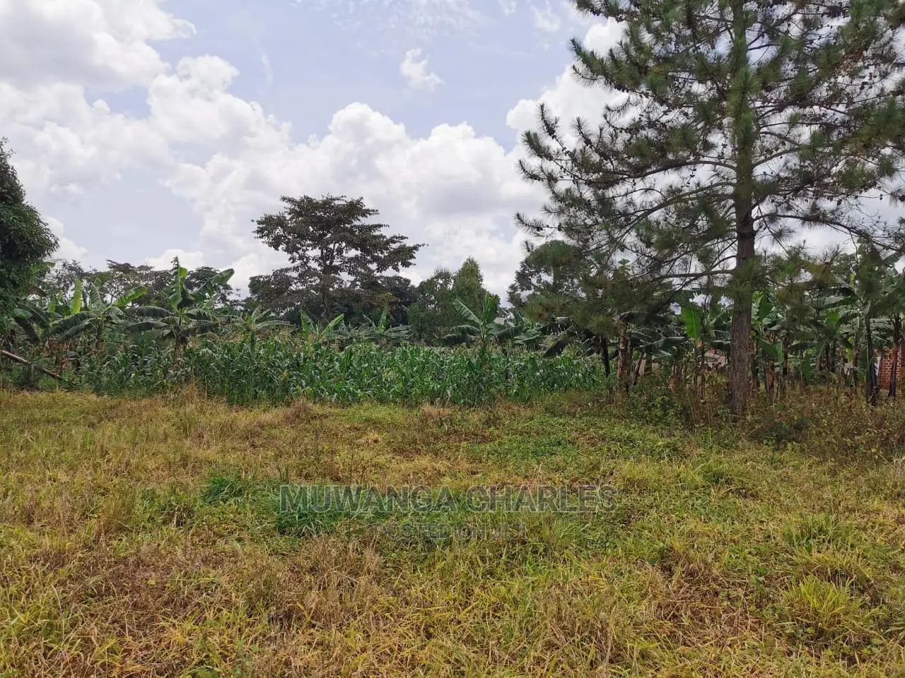 2acres of Land for Sale at Zirobwe in Central Division