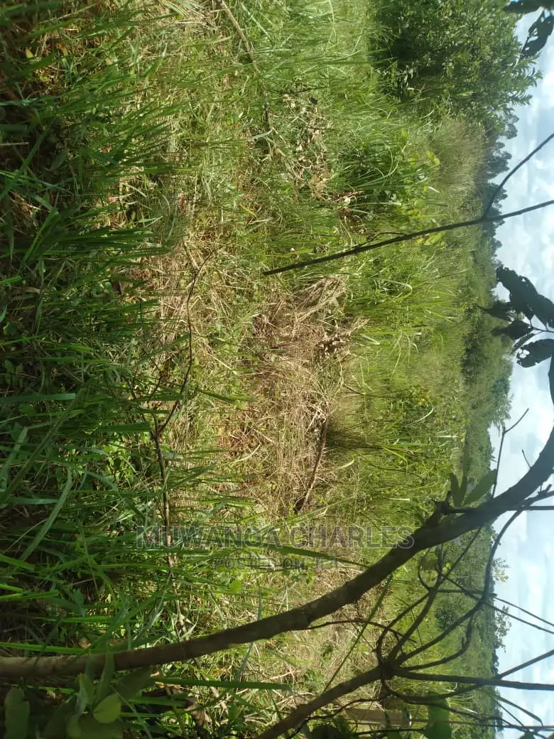 20acres of Land for Sale at Nakasongola in Central Division