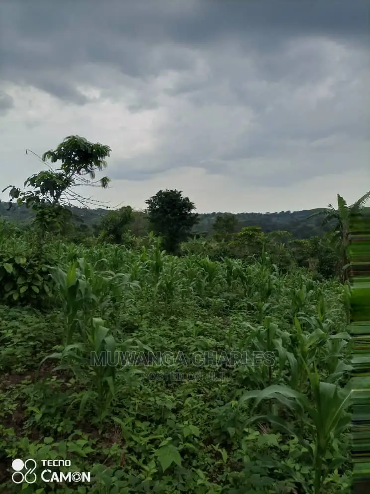 5acres Of Land For Sale At Wabutungulu Zirobwe in Central Division