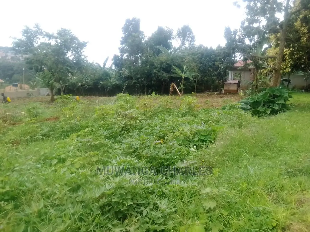 5acres Of Land For Sale At Wabutungulu Zirobwe in Central Division