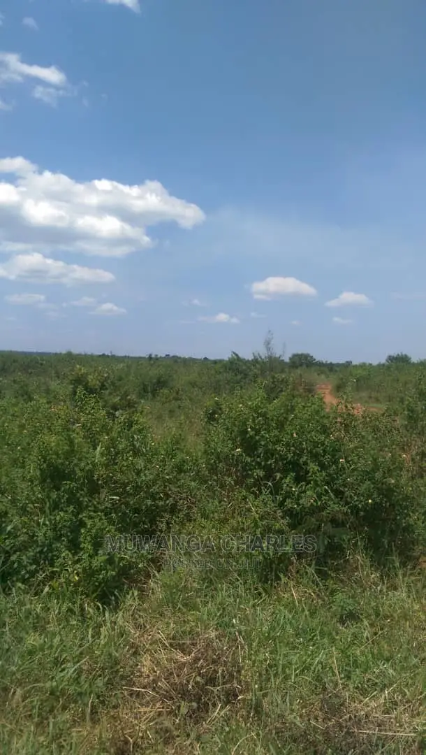 5acres Of Land For Sale At Wabutungulu Zirobwe in Central Division