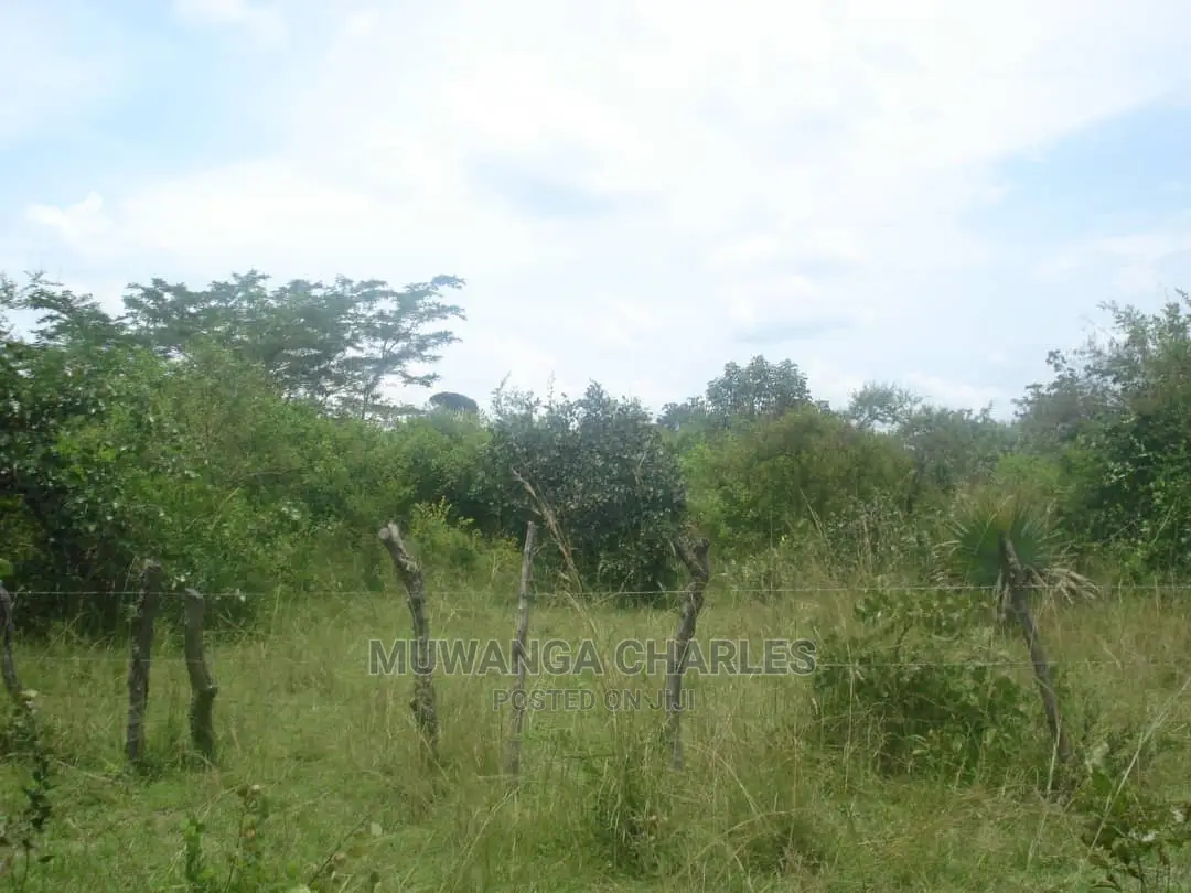 5acres Of Land For Sale At Wabutungulu Zirobwe in Central Division