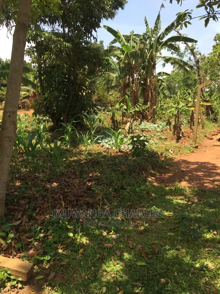 4acres of Land for Sale at Zirobwe Wabutungulu in Central Division