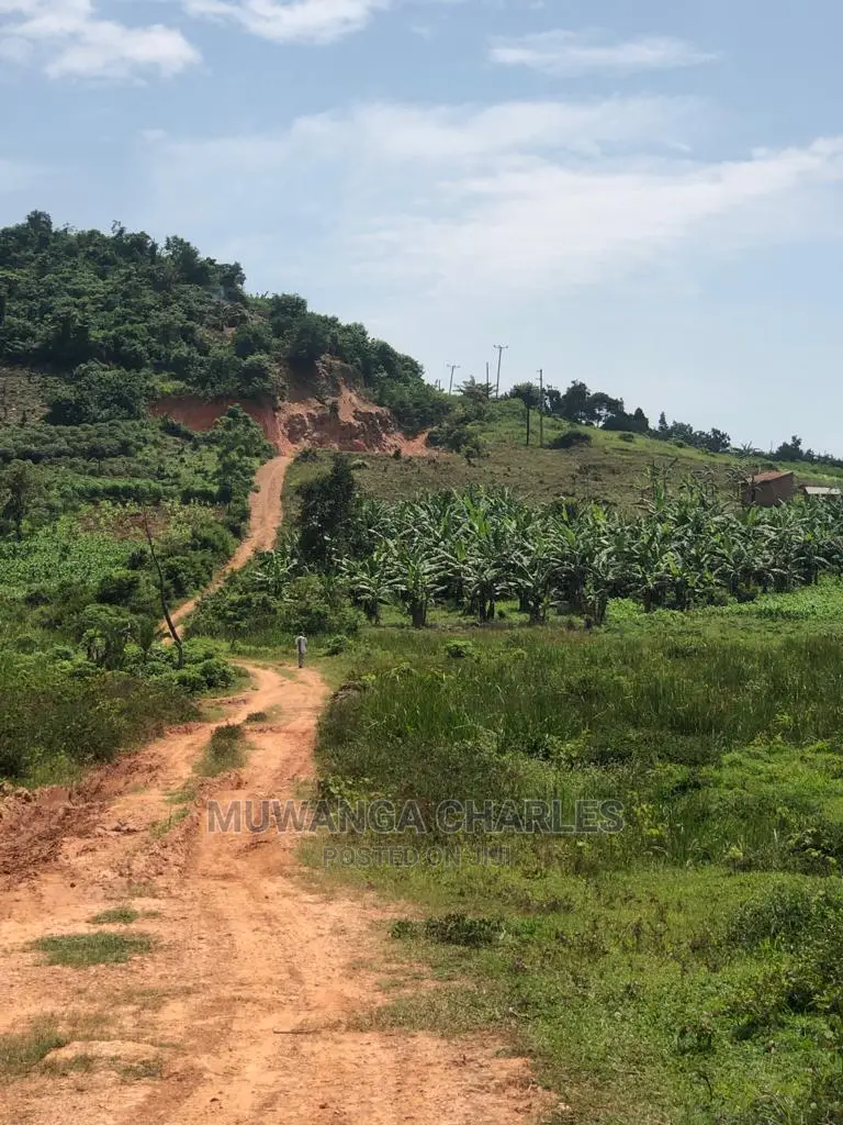 10acres of Land for Sale at Luwero Kikyusa in Central Division