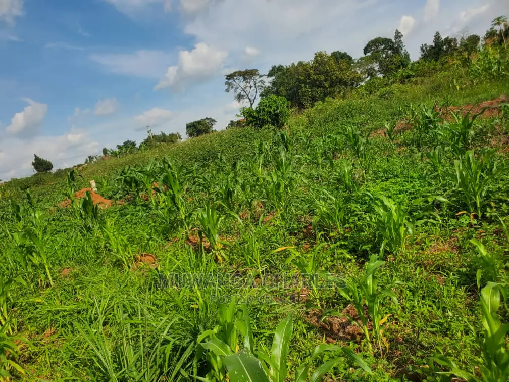 25decimals Plot of Land for Sale at Buwate in Central Division