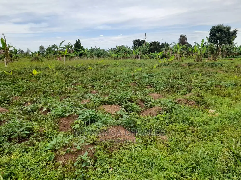 100by50ft Plot of Land for Sale and Kira in Central Division