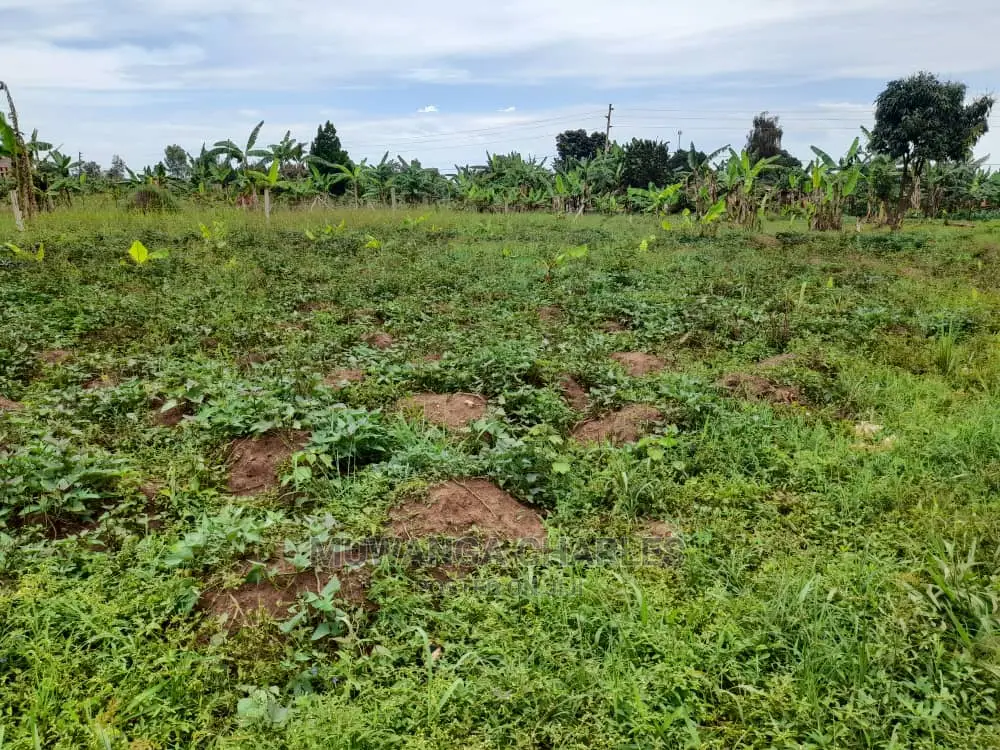 100by50ft Plot of Land for Sale and Kira in Central Division