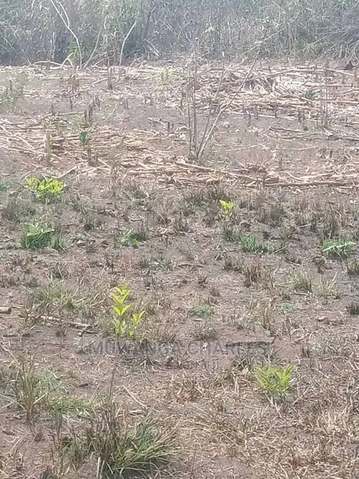 Plot's for Sale at Busika Gayaza Road in Central Division