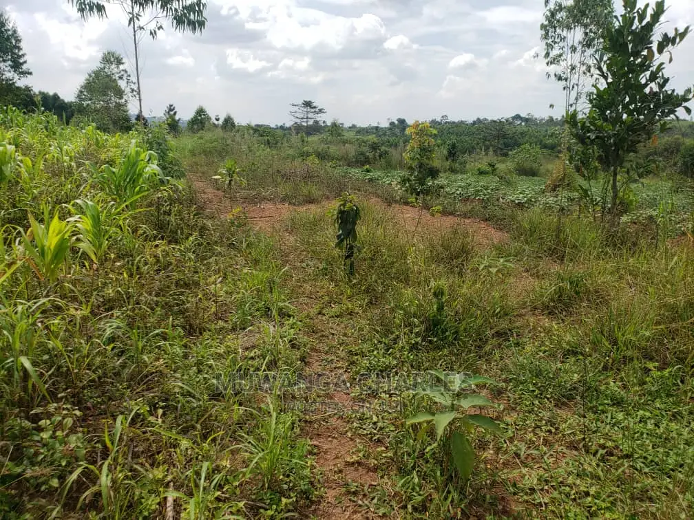 10acres of Land for Sale at Kikyusa in Central Division