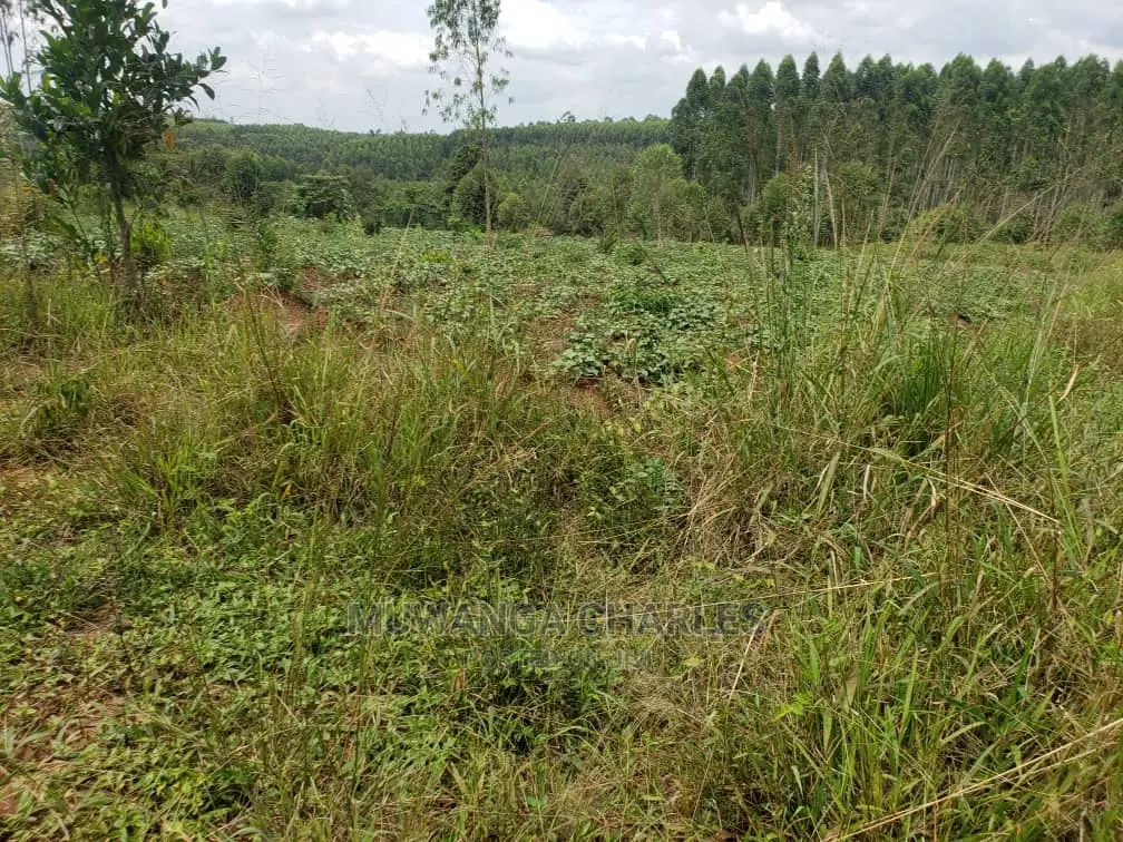 10acres of Land for Sale at Kikyusa in Central Division