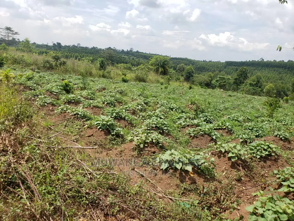 10acres of Land for Sale at Kikyusa in Central Division