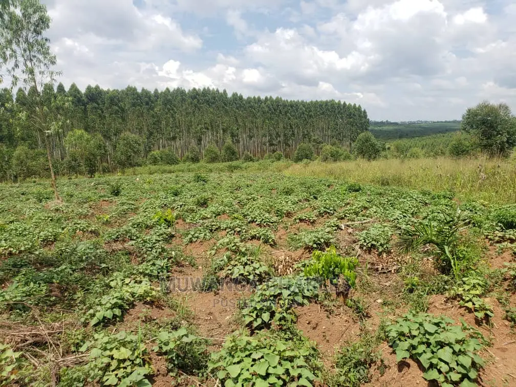 10acres of Land for Sale at Kikyusa in Central Division