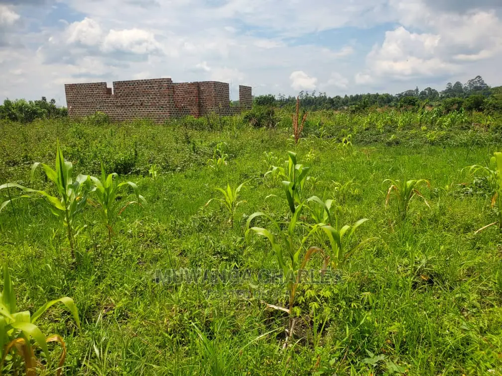 Plots for Sale at Busika in Central Division