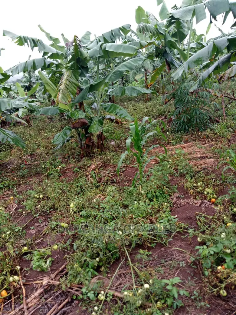 5acres of Land for Sale in Kikyusa in Central Division