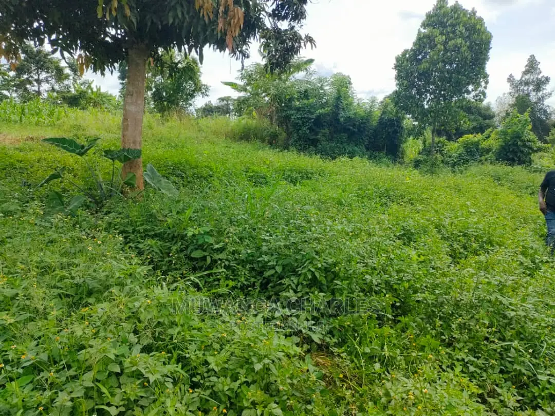 Land for Sale at Zirobwe in Central Division