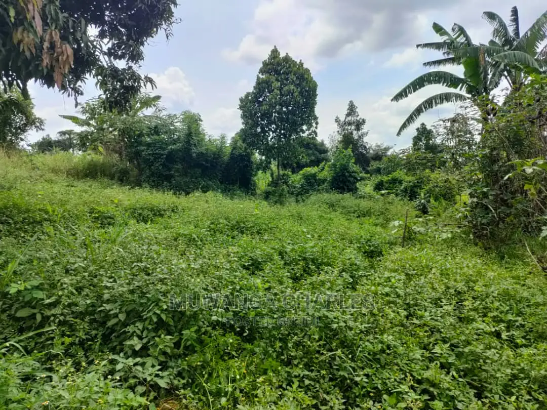 Land for Sale at Zirobwe in Central Division